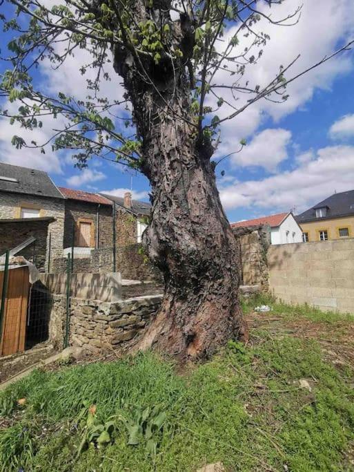 La Cascade verte /Appartement /jardin /parking Braux  Buitenkant foto